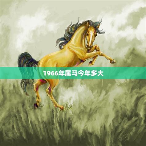 1966年生肖|1966年属马的是什么命，66年出生的马五行属什么